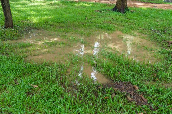 Cost of Storm Water Drainage Service in Brighton