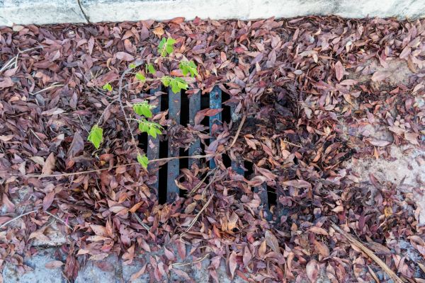 Yard Drain Unclogging in Brighton