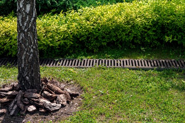 Cost of Wet Yard Drainage in Brighton