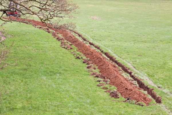 Cost of Swale Installation in Brighton