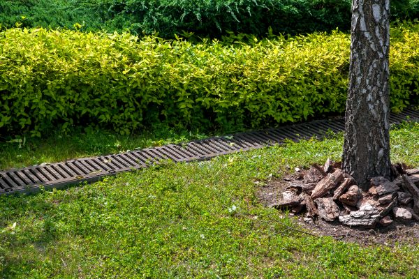 Cost of Residential Landscape Drainage in Brighton