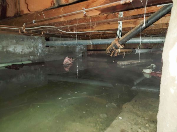 Cost of Crawlspace Drainage in Brighton