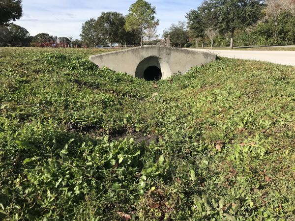 Cost of Swale Drainage Service in Brighton